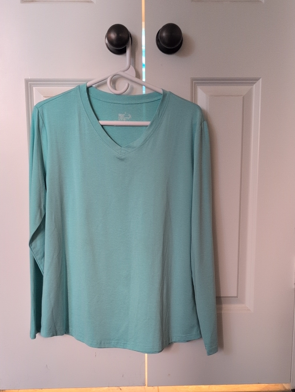 Women's V-Neck Long Sleeve Top in Light Teal